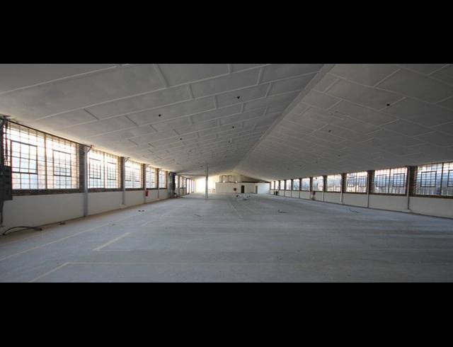 1,600M² FACTORY TO LET IN MAITLAND